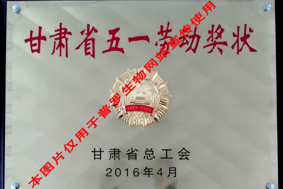 甘肅省五一勞動獎(jiǎng)